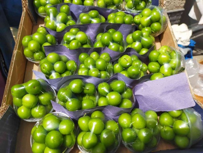 Tane Erik 3 Tl’den Tezgahta