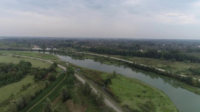 Türkiye’nin En Önemli Ovalarından Biri ’Orman’a Dönüşüyor