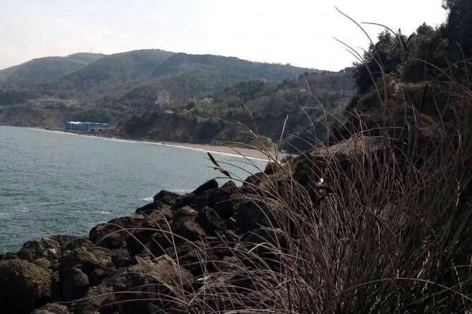 Ekipler Kayıp Olan 52 Yaşındaki Adamı Arıyor