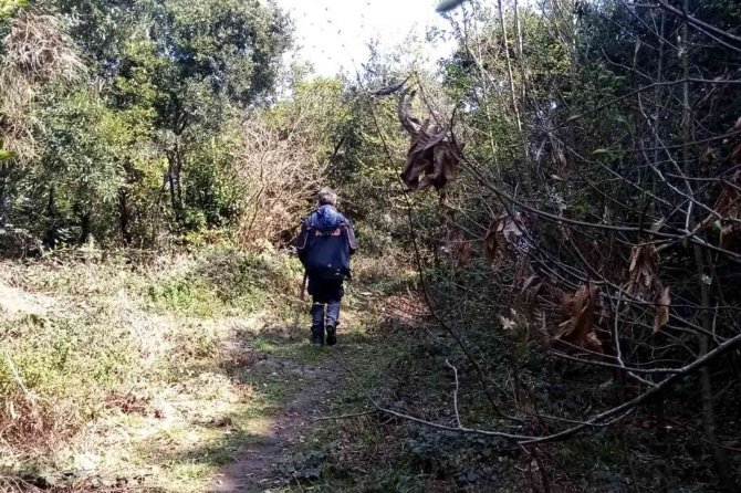 Ekipler Kayıp Olan 52 Yaşındaki Adamı Arıyor