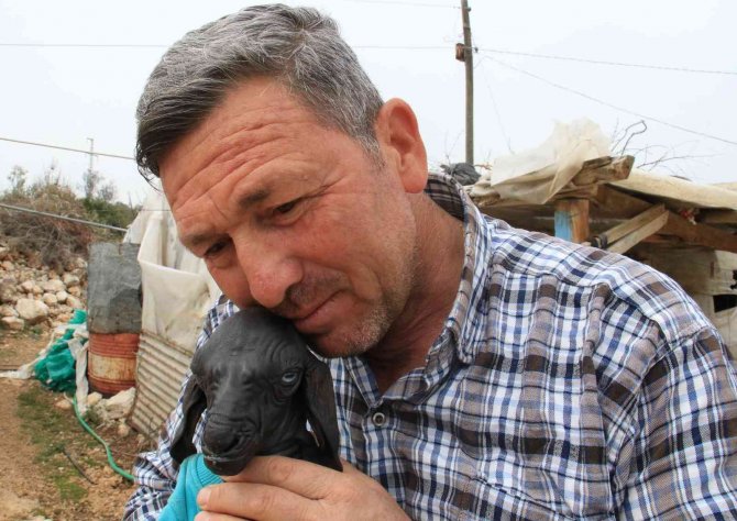 Hayatı Boyunca Tüysüz Kalacak