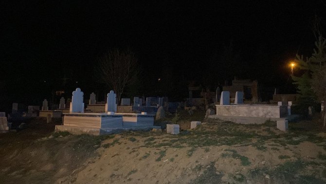 Abisinin Hastalığı İçin Geldi, Annesini Ve Abisini Öldürerek İntihar Etti