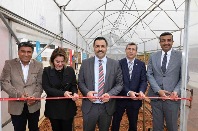 Prof. Dr. Ekrem Kalan: “Kahve Alanya’dan Gelecek”