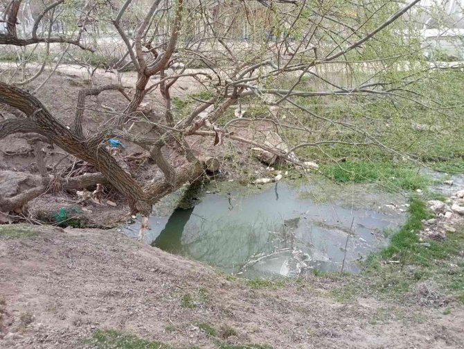 Dereye Düşen 5 Yaşındaki Çocuk Boğularak Hayatını Kaybetti