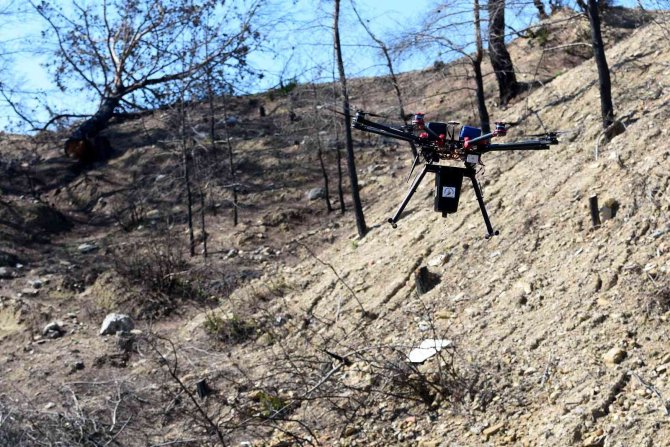 Muratpaşa, Manavgat’ta Drone İle 15 Kilogram Tohum Attı