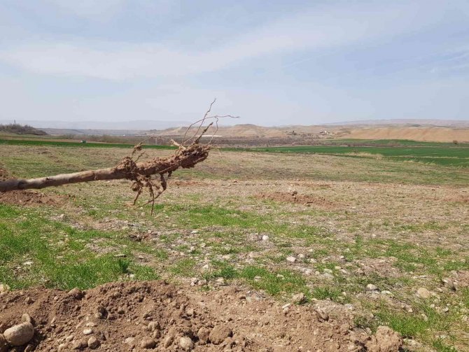 Malatya’da Şaşırtan Hırsızlık