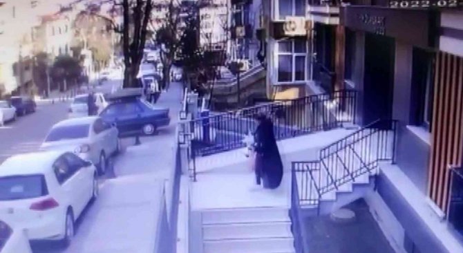 Ümraniye’de Kedi Kavgası