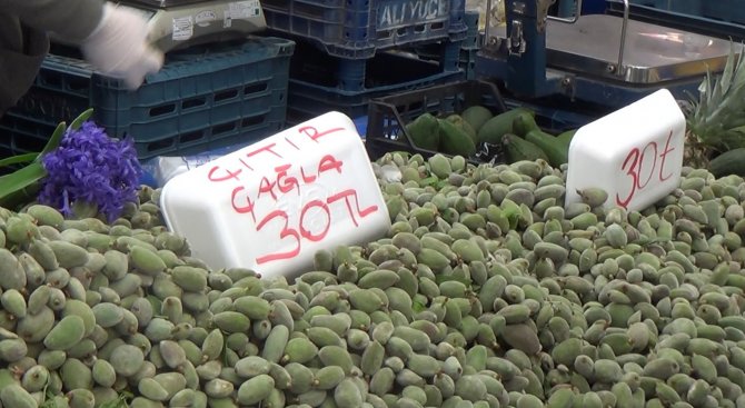 Çağlanın Kilosu 30 Tl’ye Düştü