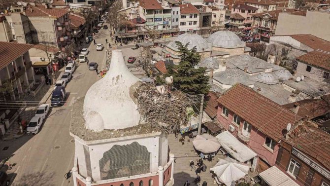 Saat Kulesinin Leylek Çifti Yuvasına Döndü