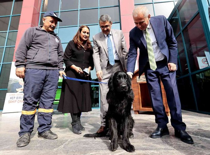 Can Dostlar İçin Anlamlı Protokol