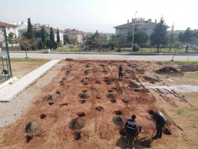 Derince’de Yeşil Alanlar Yaza Hazırlanıyor
