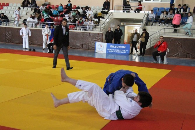 Judoda Analig Heyecanı Sona Erdi