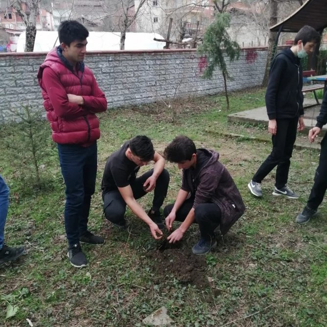 Okul Bahçeleri Meyve Fidanlarıyla Zenginleşiyor