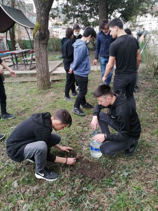 Okul Bahçeleri Meyve Fidanlarıyla Zenginleşiyor