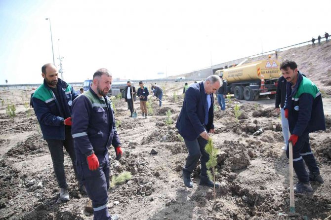 Büyükşehir, Baharın Gelmesiyle Fidan Dikimine Başladı