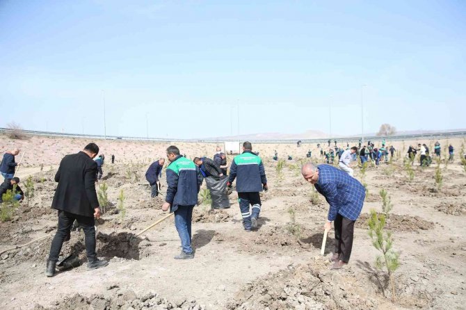 Büyükşehir, Baharın Gelmesiyle Fidan Dikimine Başladı