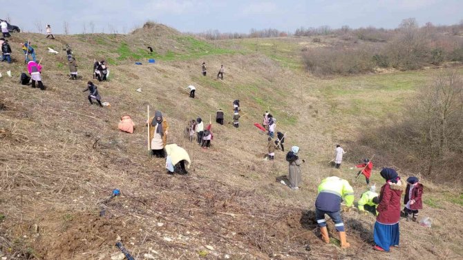 Öğrenciler Kardeşlik Ormanına 100 Fidan Dikti