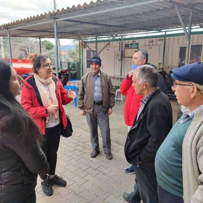 Köyceğiz’de İncir Yetiştiriciliği Eğitimi Verildi