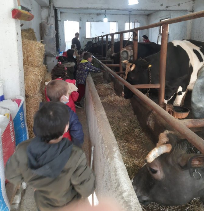 Pazarlar’da ’Bir Bardak Sağlık’ Projesi