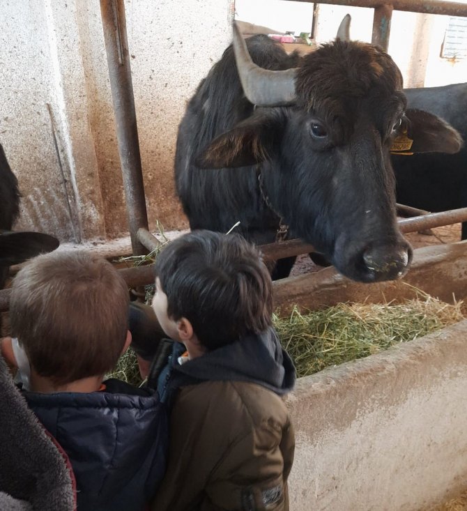 Pazarlar’da ’Bir Bardak Sağlık’ Projesi