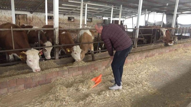 Muharrem İ̇nce’den Ahırda Basın Toplantısı