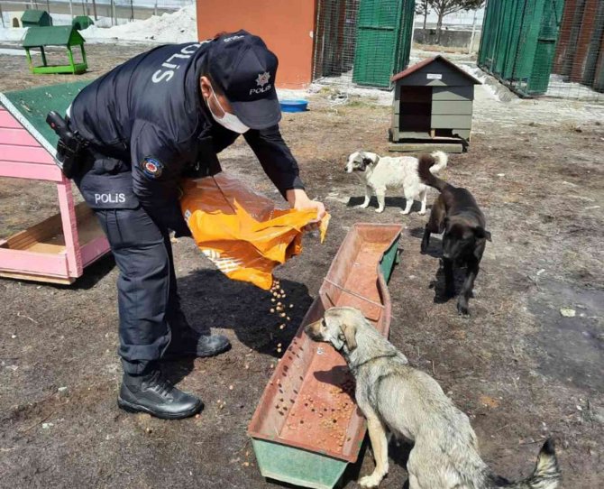 Polis Ekipleri Sokak Hayvanlarını Unutmadı