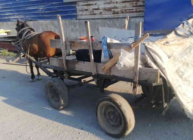 Manisa’da At Arabalı Hırsızlar Yakalandı