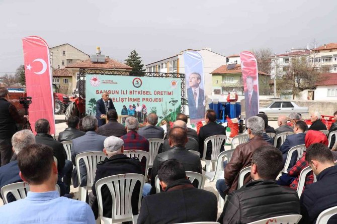 Samsun’da Üreticiye Patates Ve Kuru Fasulye Tohumluğu Dağıtımı