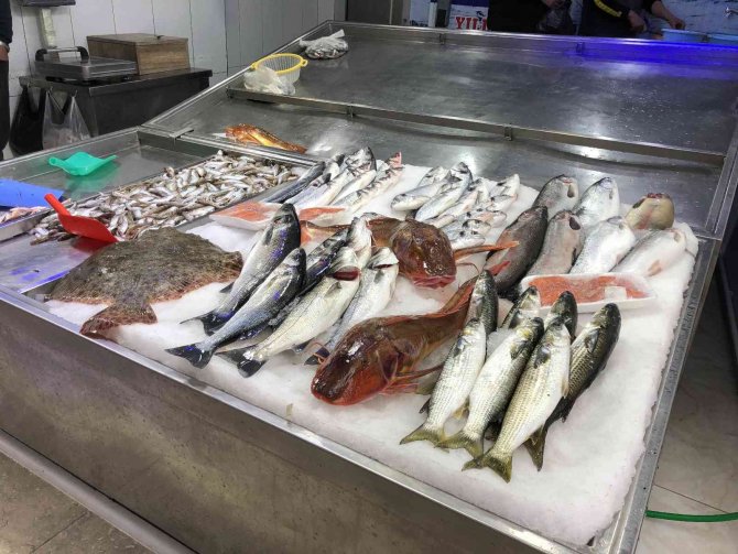 Sinop’ta Nadir Bulunan Kırlangıç Balıkları, Kilosu 250 Liradan Satılıyor