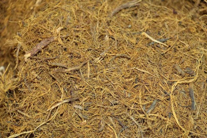 Ramazan Ayında Susuzluğun Çaresi Meyan Kökü Şerbeti