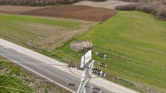 Leyleklerin Can Güvenliği İçin Termal Kameralı Dronla Bakım