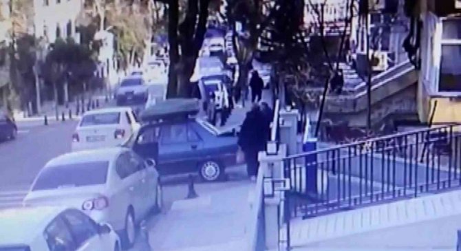 Ümraniye’de Kedi Kavgası