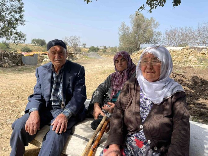 Kurtlar 25 Koyunu Telef Etti, 3 Ailenin Geçim Kaynağı Yok Oldu