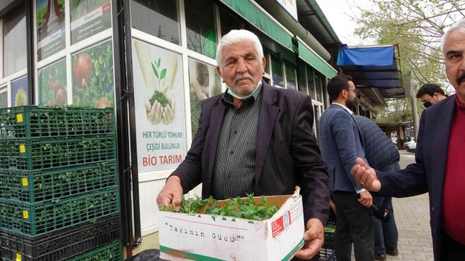 Günde 10 Bin Fide Satılıyor: Vatandaş Üretici Oldu