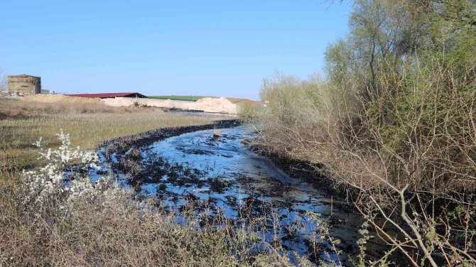 Edirne’de Çevre Kirliliğine Sebep Olan Zift İçin Çalışma Başlatıldı