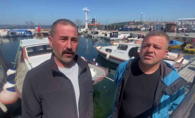 Çanakkale Boğazı’nda Yaklaşık 300 Kilogram Ağırlığında Köpek Balığı Yakaladılar