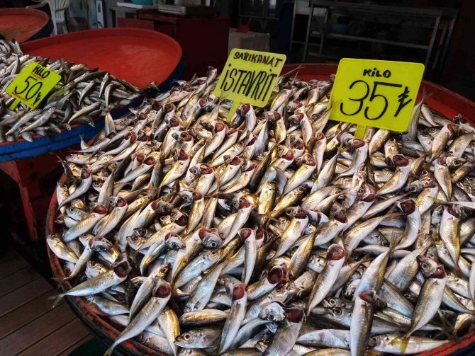 Bandırma Balık Halinde Ramazan Bereketi