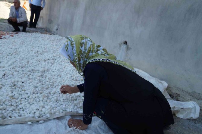 Sason’da İpek Böceği Geliştirme Toplantısı