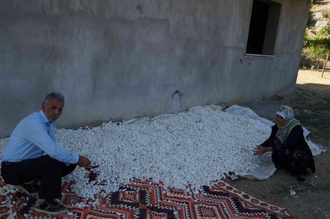 Sason’da İpek Böceği Geliştirme Toplantısı