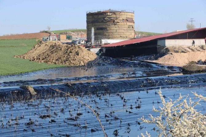 Edirne’de Çevre Katliamı: Tonlarca Zift Çevreye Yayılıyor