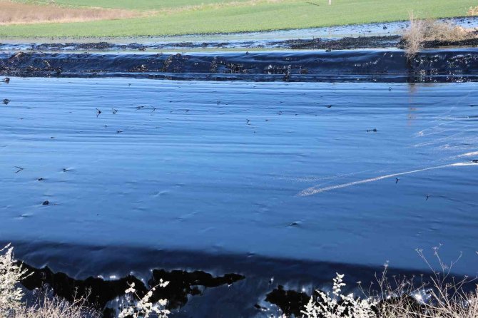 Edirne’de Çevre Katliamı: Tonlarca Zift Çevreye Yayılıyor