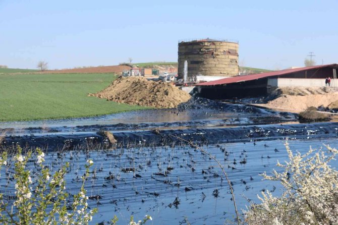 Edirne’de Çevre Katliamı: Tonlarca Zift Çevreye Yayılıyor