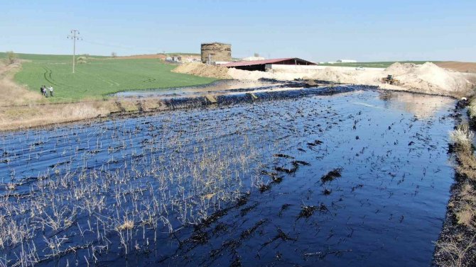 Edirne’de Çevre Felaketinin Boyutu Havadan Görüntülendi
