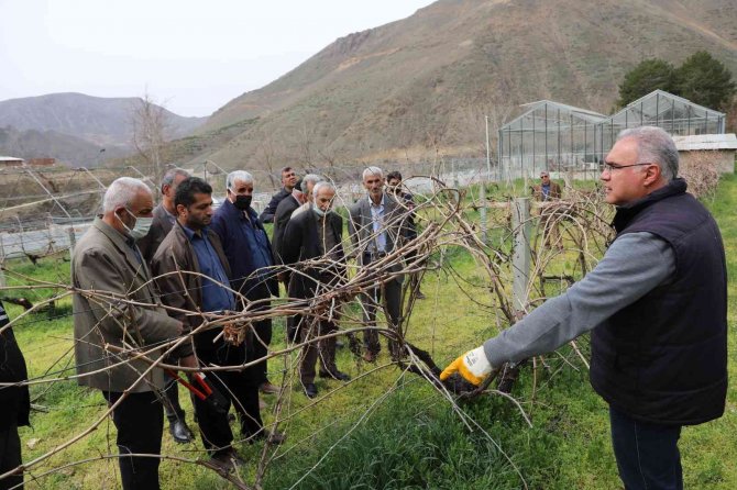 Fü Tarafından Çiftçilere Bağ Budama Eğitimi Verildi