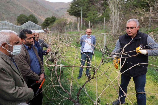 Fü Tarafından Çiftçilere Bağ Budama Eğitimi Verildi