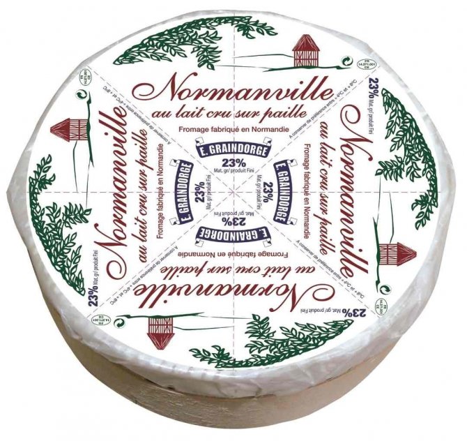 Fransa’da 6 Çeşit Peynirde Listeria Bakterisi Tespit Edildi