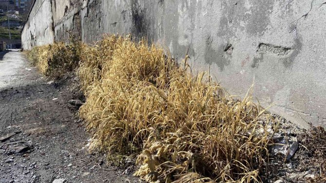 Gaziosmanpaşa’da Kimyasal Madde Kazanındaki Patlama Sonrası İş Yeri Mühürlendi