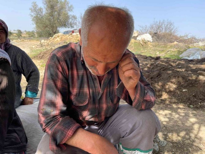 Kurtlar 25 Koyunu Telef Etti, 3 Ailenin Geçim Kaynağı Yok Oldu