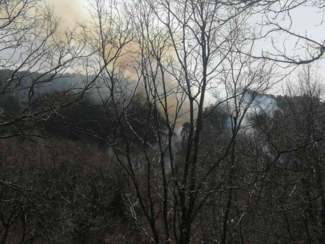 İ̇zmir’de Ormanlık Alandaki Yangın Kontrol Altında