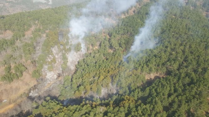 İ̇zmir’de Ormanlık Alandaki Yangın Kontrol Altında